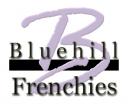 bhf logo