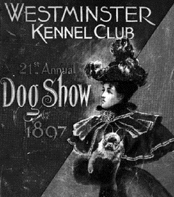 westminster kennel club 1807
